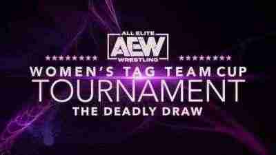 AEW Womens Tag Team Cup Tournament 2020 Online Night 3