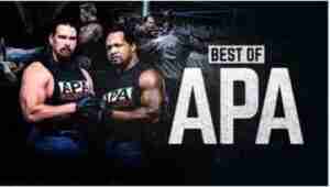 WWE The Best Of APA