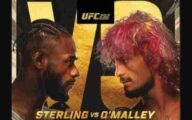 UFC 292 Sterling vs O’Malley PPV Live 8/19/2023 Online Download mp4