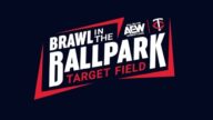 AEW Brawl in the Ballpark